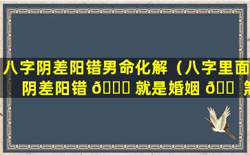 八字阴差阳错男命化解（八字里面阴差阳错 🐕 就是婚姻 🐠 煞吗）